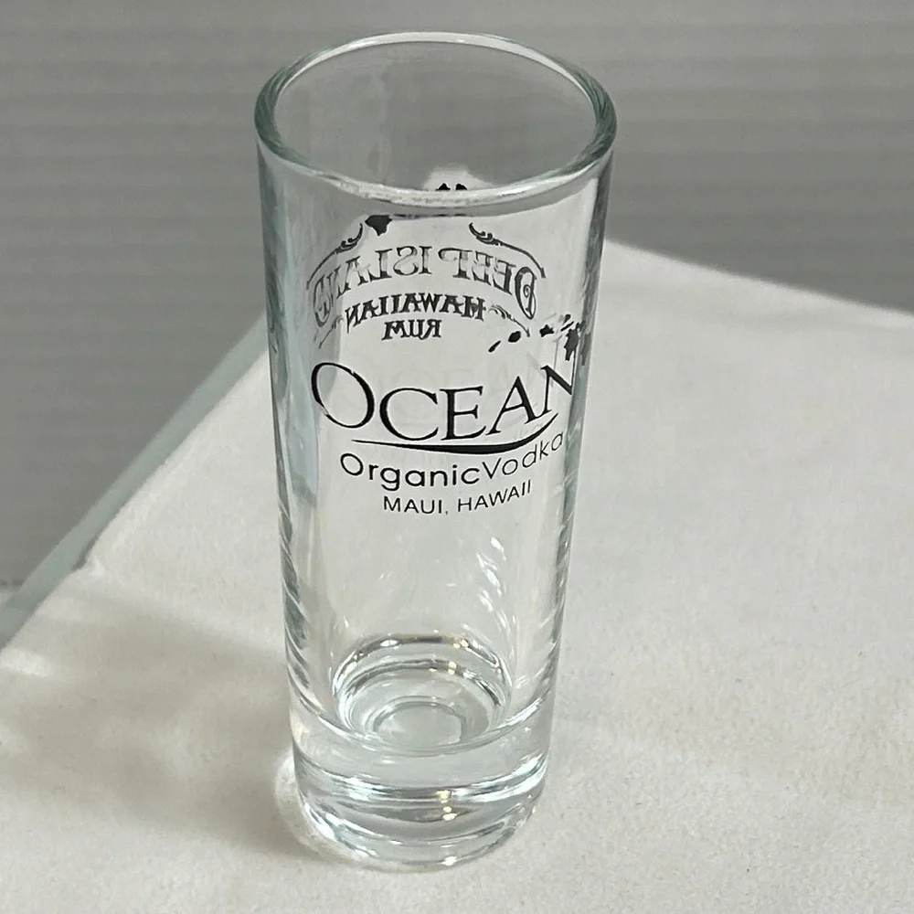 Shot Glass Lot of 4 Cozumel & Maui 4”H